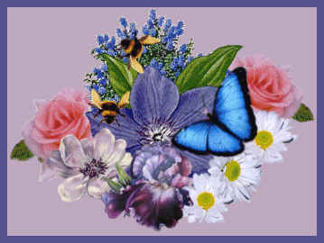 Papillon bleu